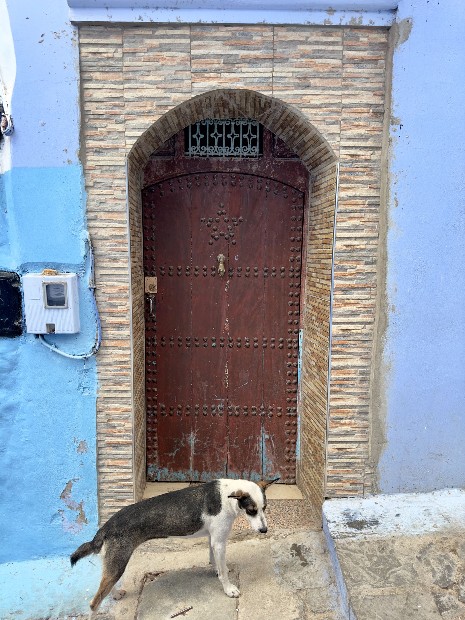 Moroccan Door #107